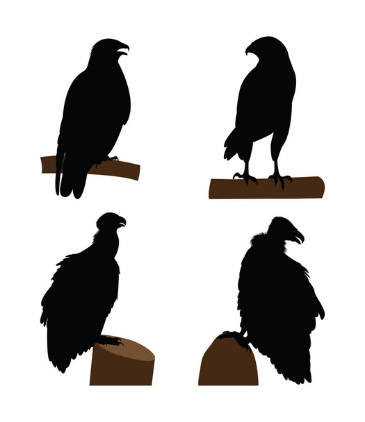 raptorial kuş silhouettes - Vektör, Görsel