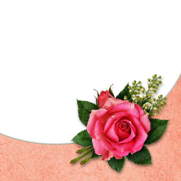 Pink rose flower arangement for background - Zdjęcie, obraz