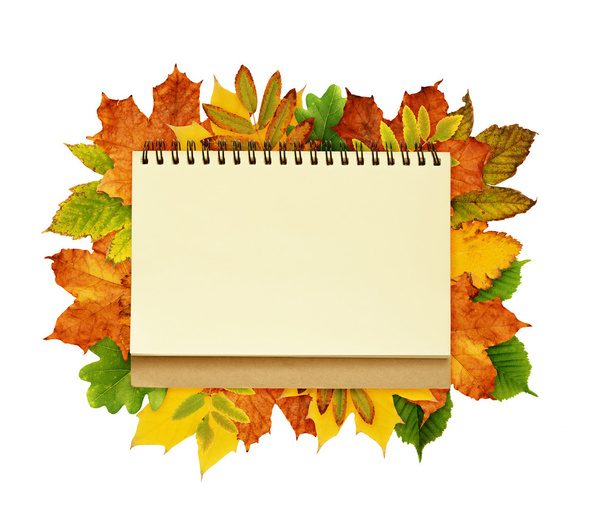 Notebook on dry autumn leaves  - Foto, imagen