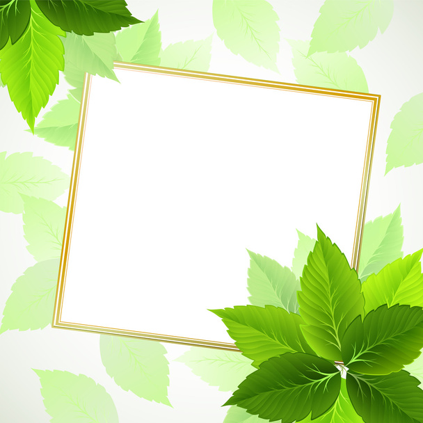 Spring background with green leaves - Vector, afbeelding