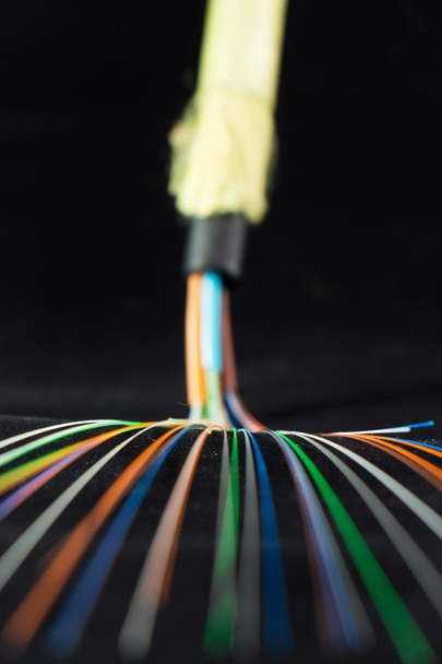 Fiber optic cable on black background - Foto, afbeelding
