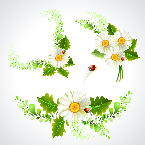 Set of Decorative chamomiles with ladybirds - Wektor, obraz