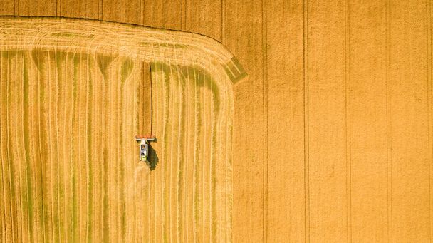 Harvester working in field and mows wheat. Ukraine. Aerial view. - Foto, Imagen