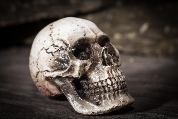 menschlicher Schädel auf Holz-Hintergrund. - Foto, Bild