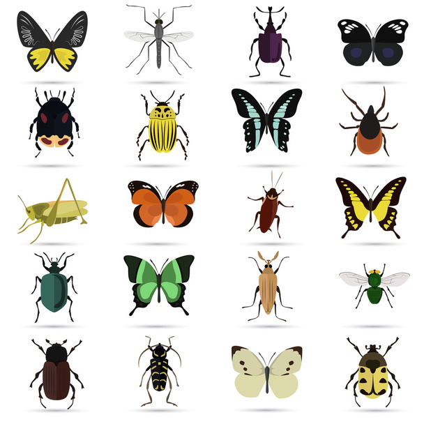 Set of twenty color flat insects icons - Διάνυσμα, εικόνα