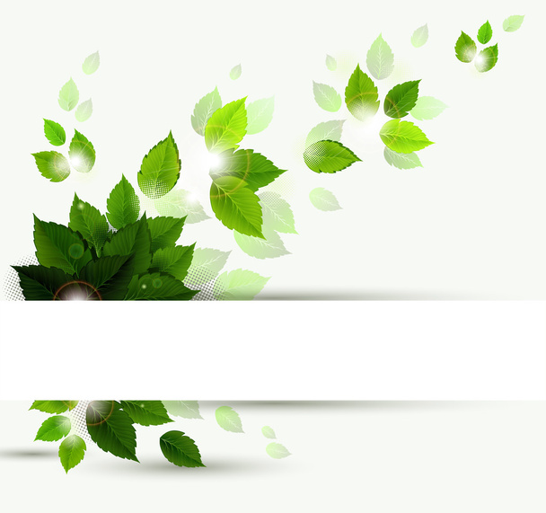 Гілка зі свіжим зеленим листям
 - Вектор, зображення