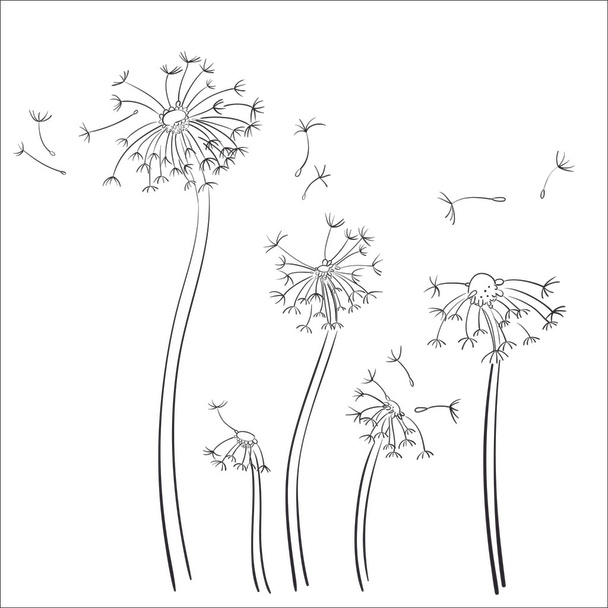 Hand drawn dandelion, Decorative Black Hand Sketched Rustic Flora, Branches, Design Elements. Hand Drawing Vector Illustration. - Vektör, Görsel
