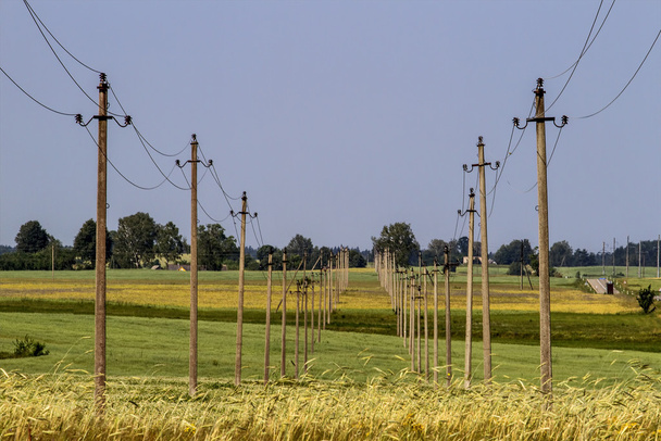 Elektriciteit palen en draden in landelijk gebied - Foto, afbeelding
