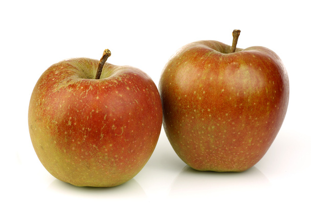 Traditional Dutch apples called "goudrenet" used for making apple pie - Photo, image