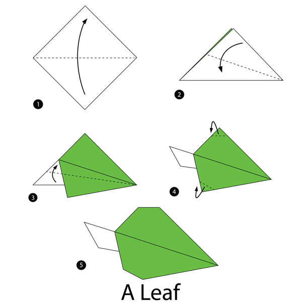 instrucciones paso a paso cómo hacer origami A Leaf
. - Vector, Imagen