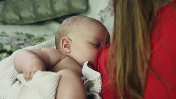 Jonge moeder in rood shirt borstvoeding beetje huilende baby in de handdoek. Moederschap. - Video