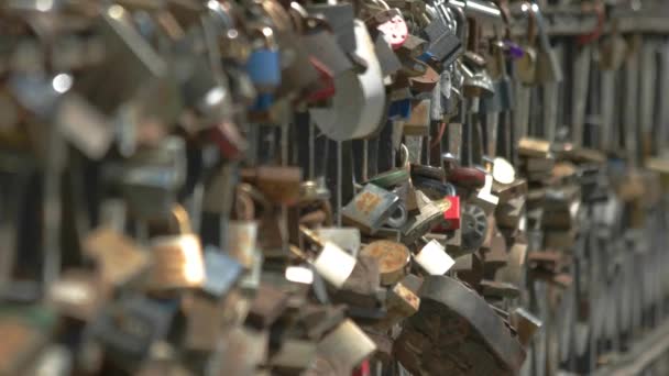 Locks are hanging on fence. - Footage, Video