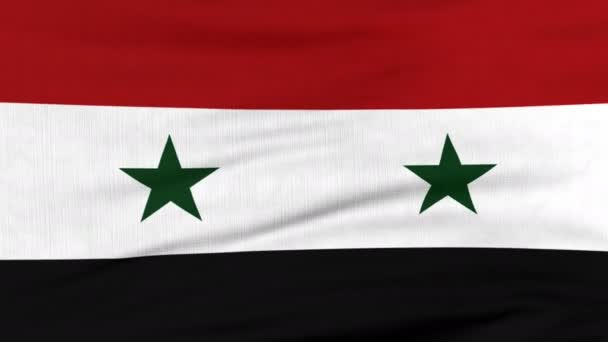 Flaga narodowa Syrii Latanie na wiatr - Materiał filmowy, wideo