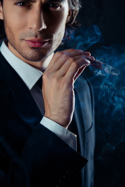 Close up portrait of brutal man in the smoke holding a cigar in  - Photo, image