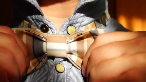 Man ties bow tie - Footage, Video