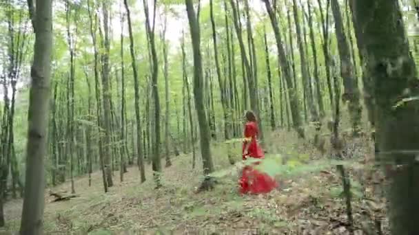Pohádkový holka procházka v lese - Záběry, video