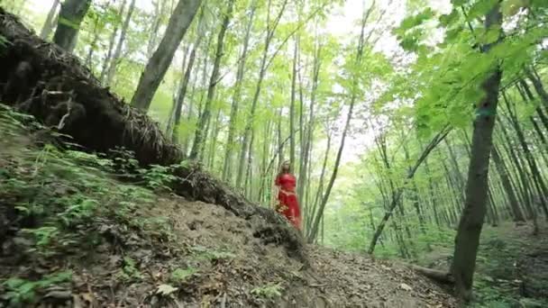 Mulher bonita explora floresta bonita
 - Filmagem, Vídeo