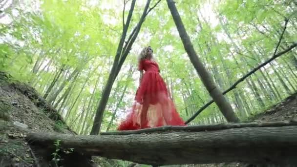 神秘的な森を歩く婦人 - 映像、動画