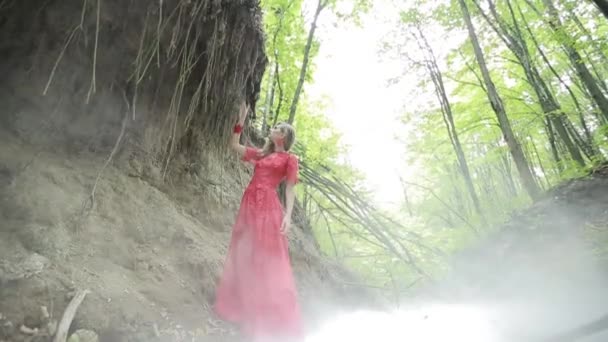 Молодая женщина в мистическом лесу
 - Кадры, видео