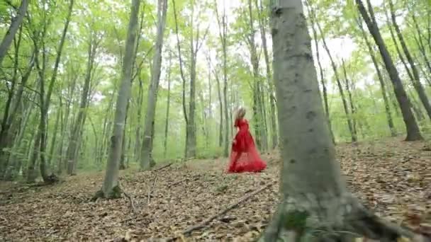 Jonge vrouw wandelingen In bos - Video