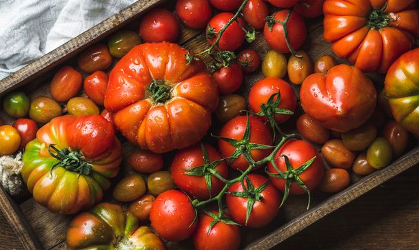 Colorful tomatoes of different sizes and kinds - 写真・画像