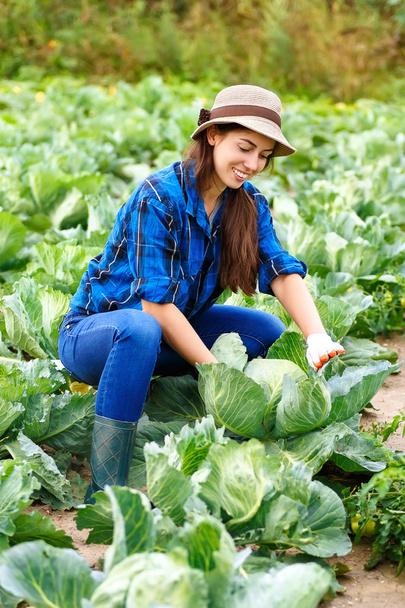 Happy young girl with cabbage - Foto, imagen