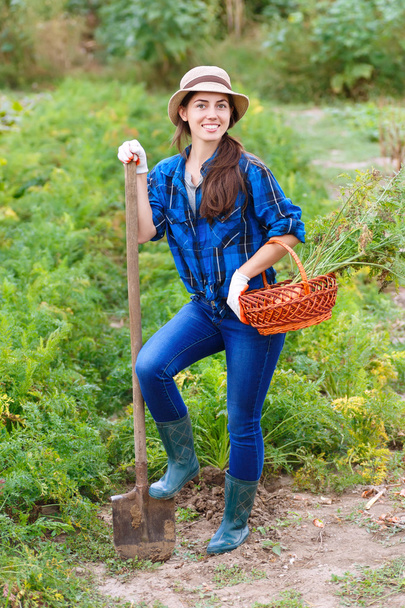 農家の女性がスペードと収穫した野菜のバスケット - 写真・画像