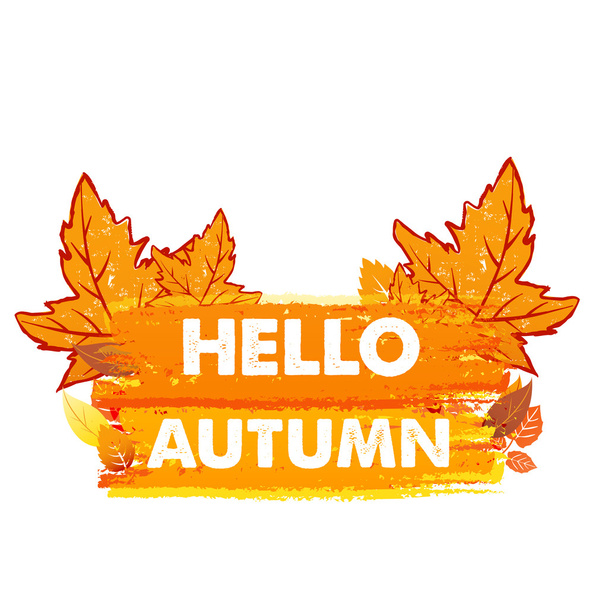 hello autumn with leaves, drawn banner - Photo, Image