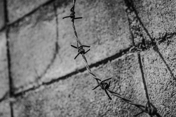 astratto recinzione filo spinato mancanza e colpo bianco
 - Foto, immagini