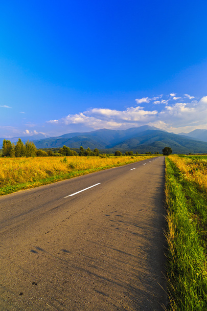 красиві гори дорога в горах Fagaras Румунії - Фото, зображення