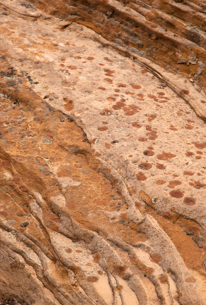 Zion rots textuur - Foto, afbeelding
