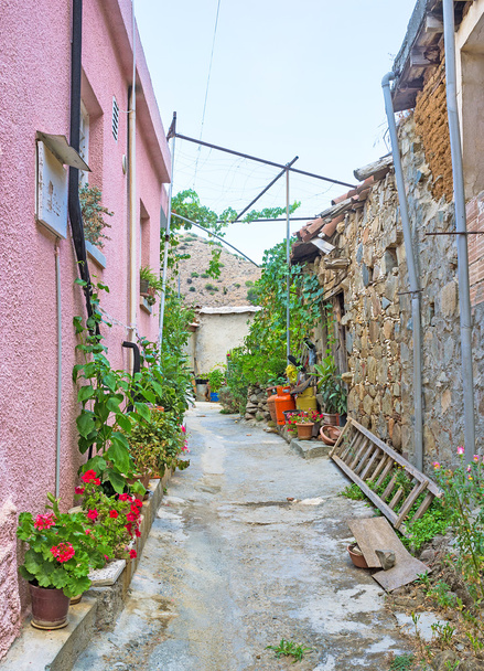 El pueblo de Chipre
 - Foto, imagen