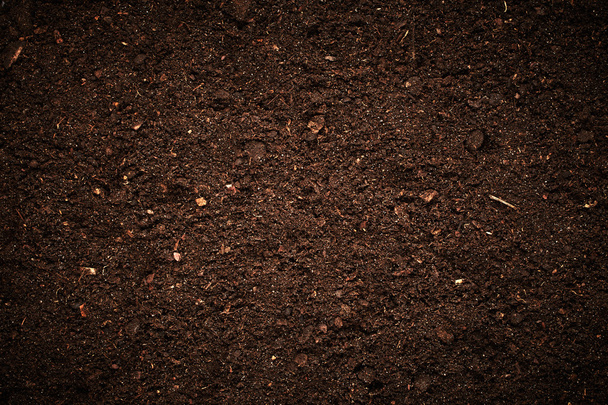 Fondo marrone del suolo
 - Foto, immagini