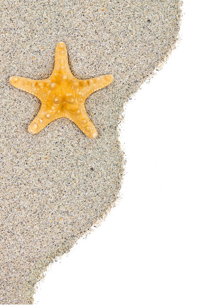 Étoile de mer sur sable de plage
  - Photo, image