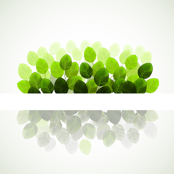 Branch of fresh green leaves - Vector, Image