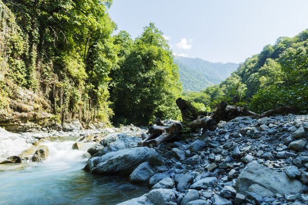 Gebirgsfluss Stromschnellen Kaukasus blaues Wasser grüner Wald - Foto, Bild