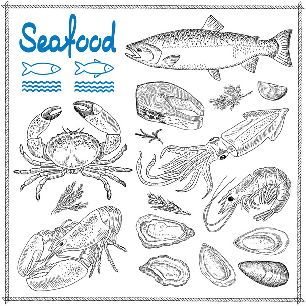 Hand drawn seafood - Вектор,изображение