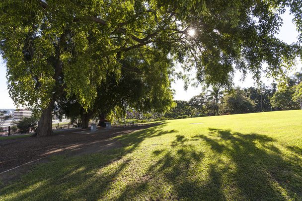 Brisbane City Park - Zdjęcie, obraz