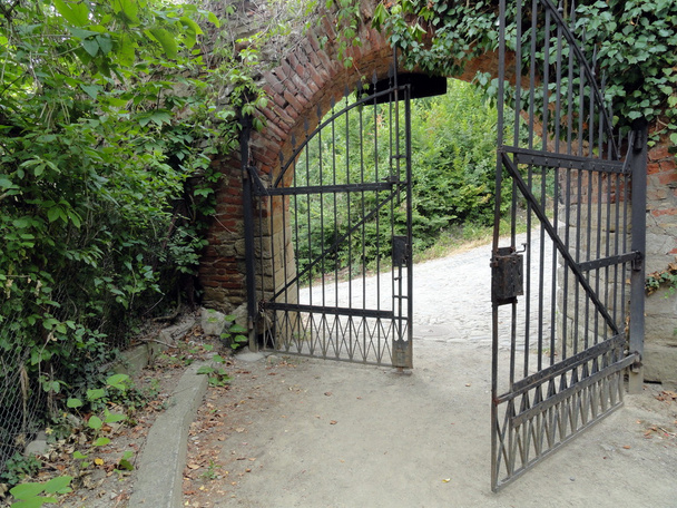 Классический дизайн черные кованые железные ворота в красивом зеленом саду
 - Фото, изображение