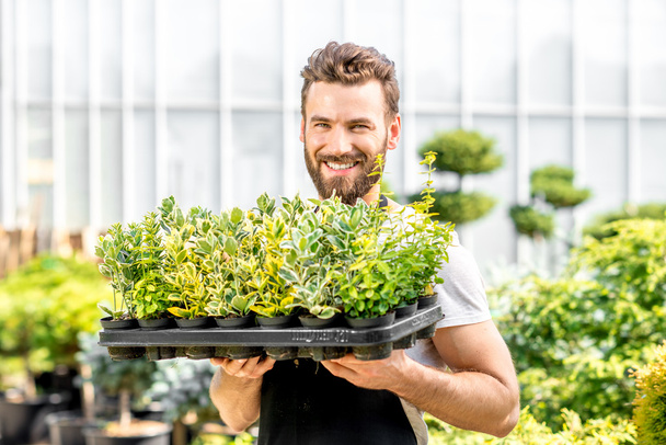 Jardinero sosteniendo macetas con plantas
 - Foto, imagen