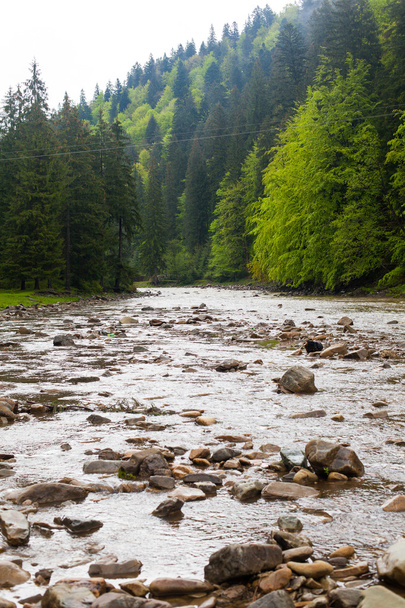 River in the forest - Fotoğraf, Görsel