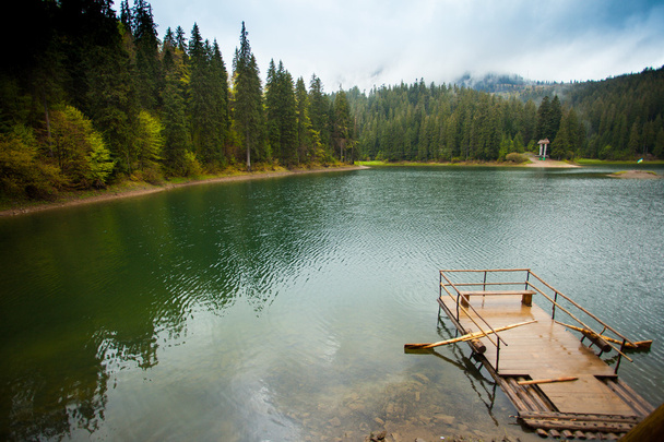 Beautiful lake and forest - Photo, Image