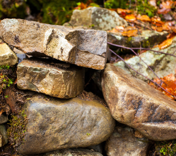 Grandes piedras en el bosque
 - Foto, imagen