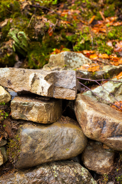 Grandes pedras na madeira
 - Foto, Imagem