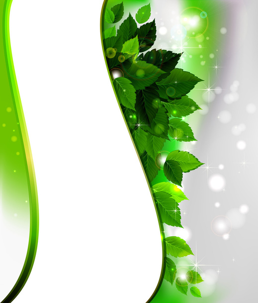 Design of fresh green leaves - Vettoriali, immagini