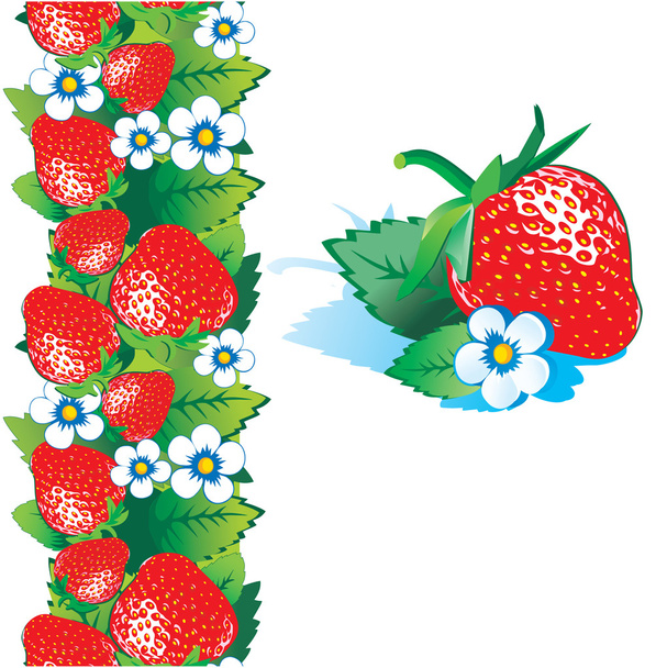 Fresh strawberry - Vector, afbeelding