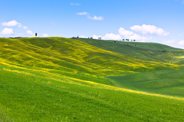 Tuscan Val d'Orcia background - Photo, Image