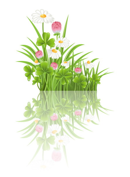 Green grass with clover and camomile flowers - Vector, imagen
