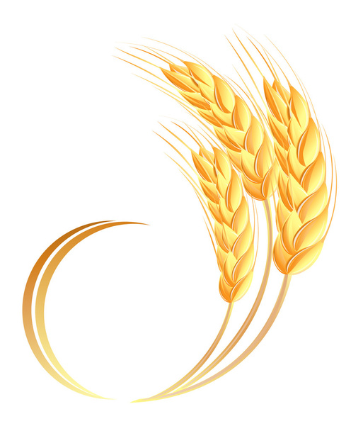Wheat ears icon - ベクター画像
