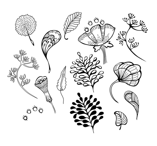 Set of vintage floral silhouettes - Vektori, kuva
